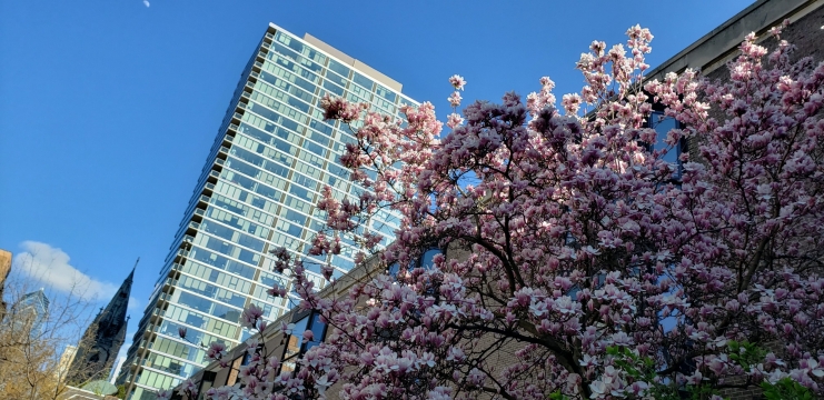 Spring-in-Philadelphia