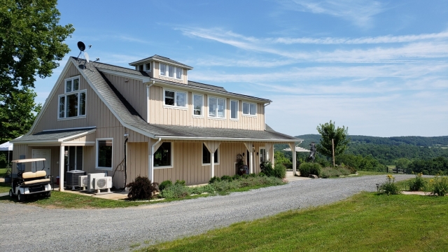 Vineyard-Virginia
